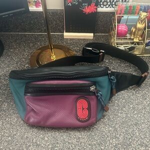 Coach Teal and Purple Belt Bag